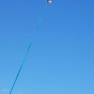 Meet your Posher, Dan